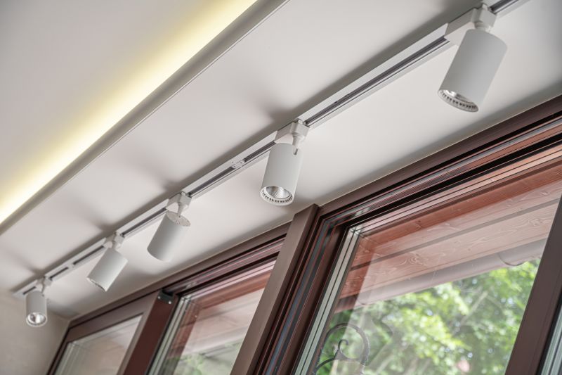 Track Lighting Installation in Denver County, CO